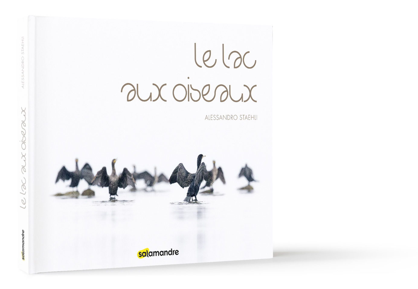 Projet de livre: Le lac aux oiseaux !