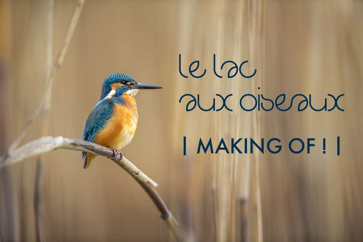 Le lac aux oiseaux: MAKING OF!