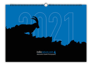WooCalendrier 2023