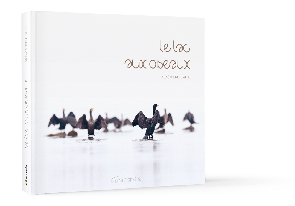 Le lac aux oiseaux