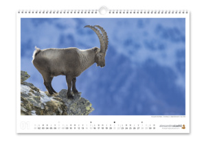 Calendrier photo 2023