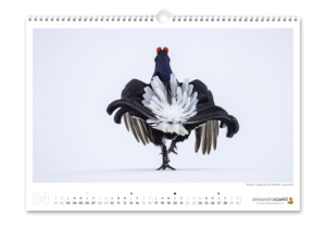 Calendrier photo 2023