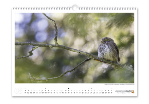 Calendrier photo 2023