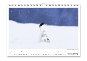Calendrier photo 2023