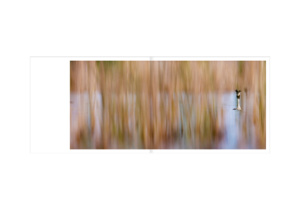 Libro fotografico - Le lac aux oiseaux