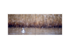 Le lac aux oiseaux