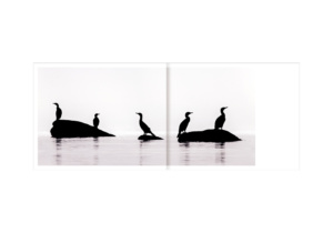 Le lac aux oiseaux