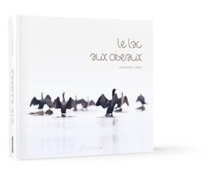Offre de Noël 2 "De rive en crête" - Livre + Calendrier 2023 + set de 6 cartes