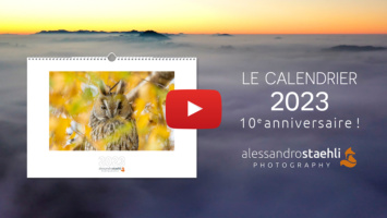 Calendrier 2023, les coulisses !