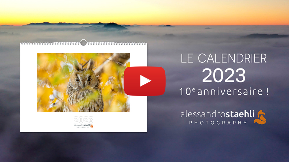 Calendario 2023, il making of!