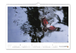 Calendario fotografico 2024