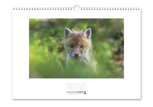 Calendario fotografico 2024