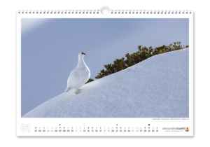 Calendrier photo 2025
