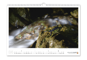 Calendrier photo 2025