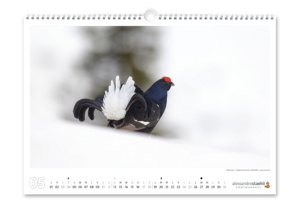 Calendrier photo 2025