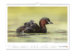 Calendrier photo 2025
