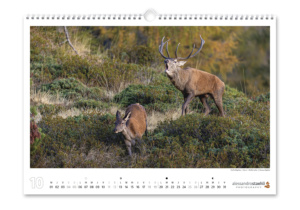 Calendrier photo 2025