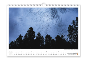 Calendrier photo 2025