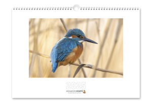 Calendrier photo 2025