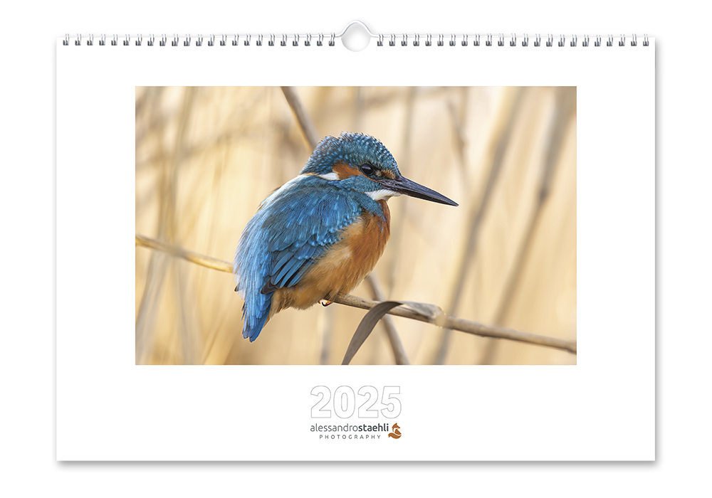 Calendrier photo 2025