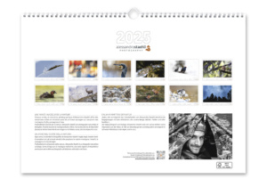 Calendrier photo 2025