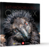Extraordinaires oiseaux