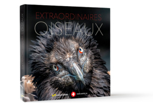 Extraordinaires oiseaux