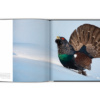 Extraordinaires oiseaux