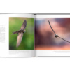 Extraordinaires oiseaux