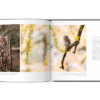 Extraordinaires oiseaux