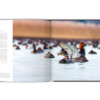 Extraordinaires oiseaux