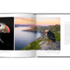 Extraordinaires oiseaux