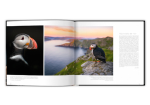 Extraordinaires oiseaux