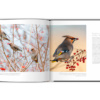 Extraordinaires oiseaux