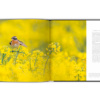 Extraordinaires oiseaux