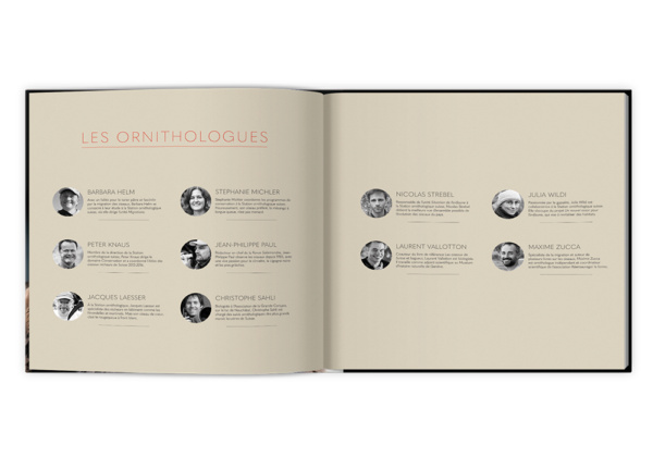 Extraordinaires oiseaux