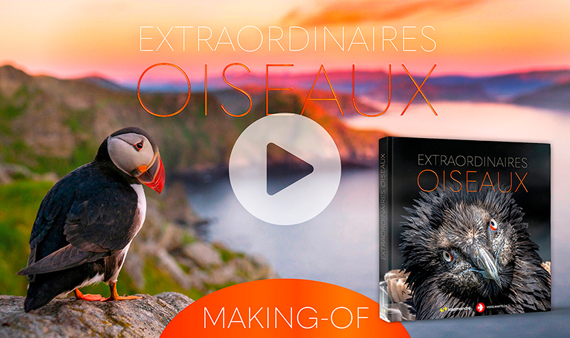 Parution du beau livre Extraordinaires oiseaux!