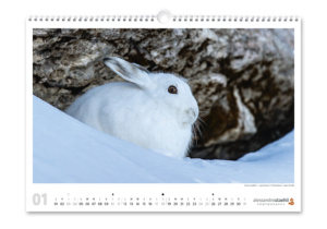 Calendrier photo nature 2026