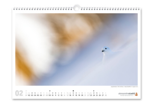 Calendrier photo nature 2026