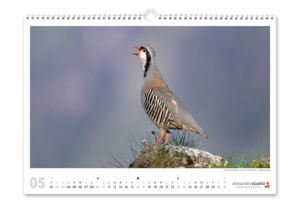 Calendrier photo nature 2026