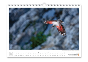 Calendrier photo nature 2026