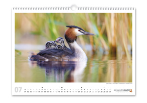Calendrier photo nature 2026
