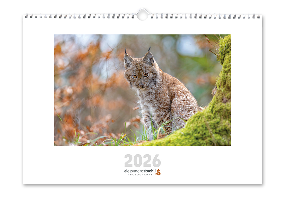 Calendrier photo nature 2026