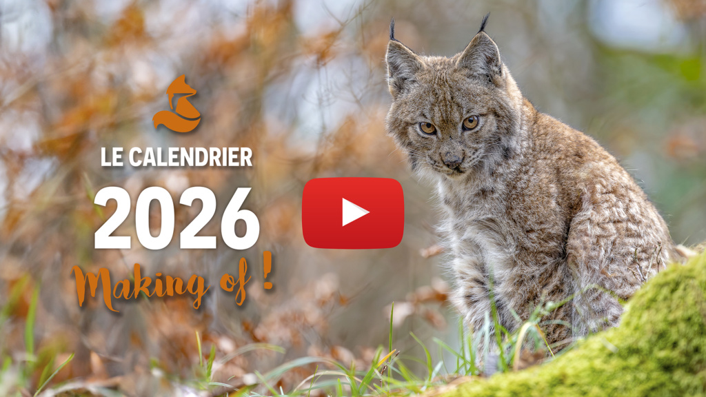 Calendrier photo nature 2026