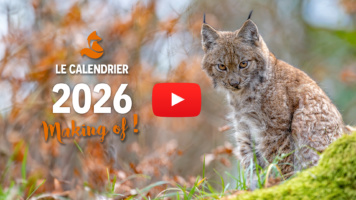 Calendrier nature 2026 – Le making of!
