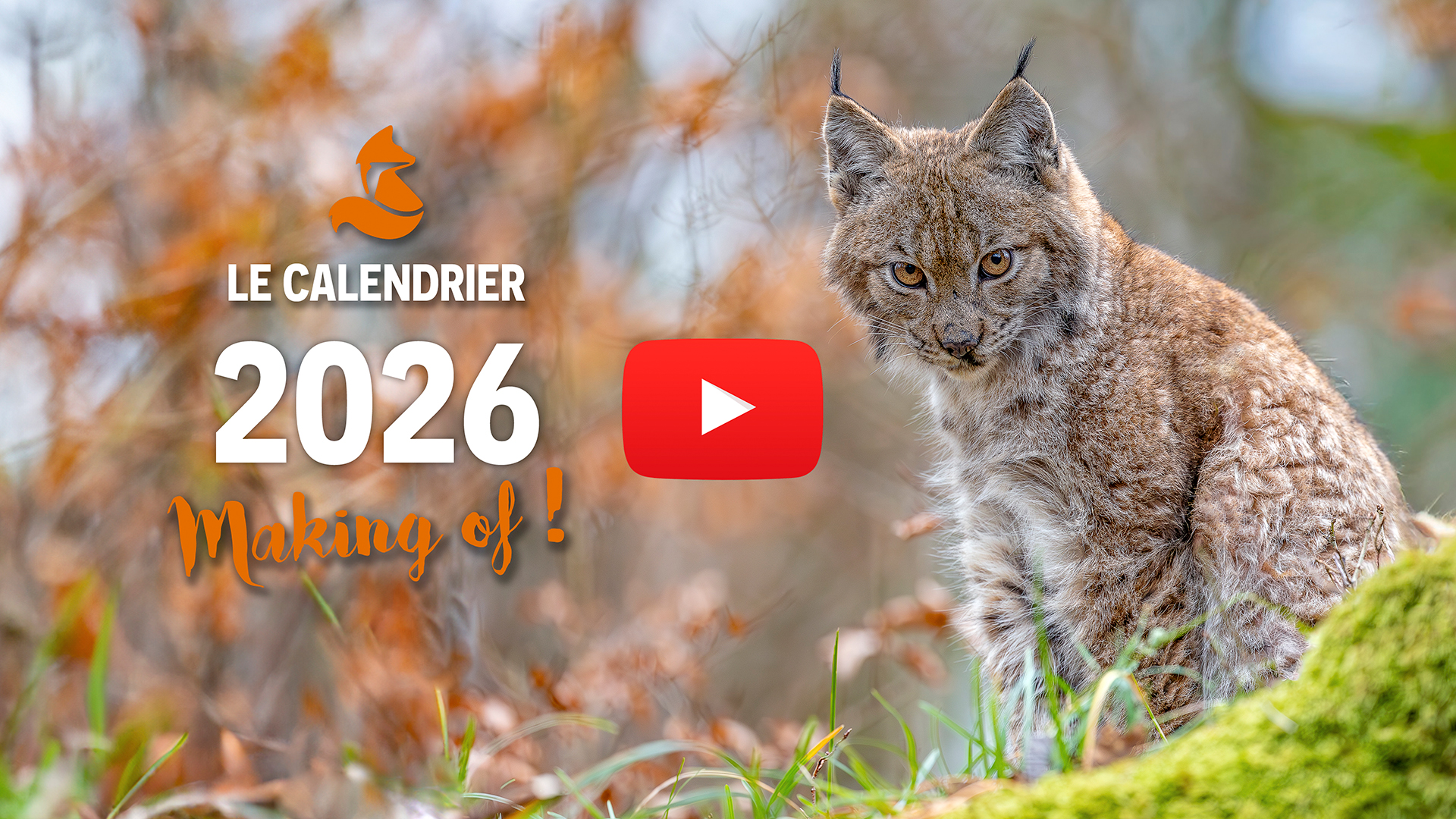 Calendrier nature 2026 – Le making of!