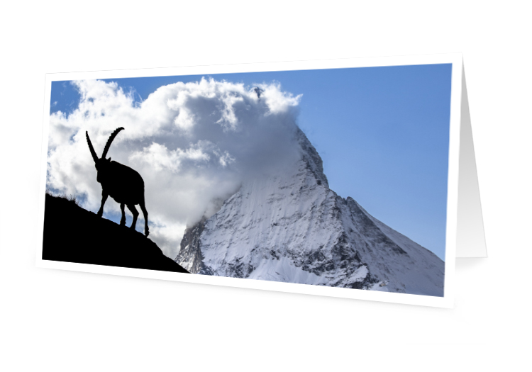 Carte de vœux - Le bouquetin et le Cervin (10x21 cm, avec enveloppe)