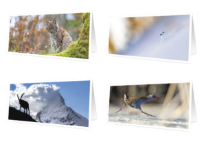 Set de 4 cartes de vœux originales - édition 2026 (10x21 cm, avec enveloppes)