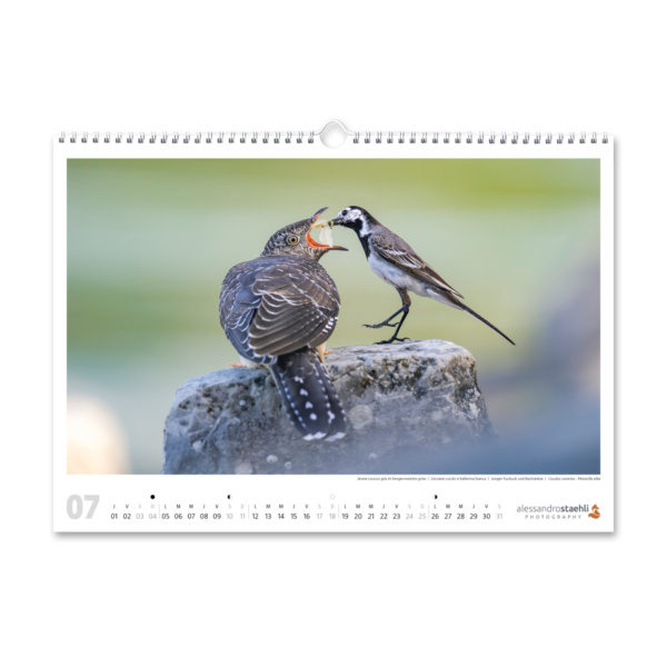 Cal-ASP-2027-3D_07-1200-1200px-sRGB Calendrier photo 2027