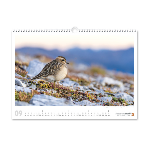 Cal-ASP-2027-3D_09-1200-1200px-sRGB Calendrier photo 2027